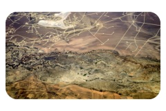 Waterbird Constellation
