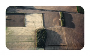 Agricultural Geometry